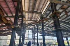 Employee-Celebrations-Event-2024-9